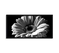 Wee Blue Coo Gerbera Flower Head Long Panel Framed Wall Art Print