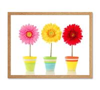 Wee Blue Coo Gerbera Red Yellow Pink Flowers Art Print Framed Poster Wall Decor 12X16 Inch