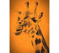 Wee Blue Coo Giraffe Head Illustration Art Print Poster Wall Decor 12X16 Inch
