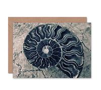 Wee Blue Coo GRAPH NATURE FOSSIL SHELL MARINE LIFE AMMONITE BLANK GREETINGS CARD