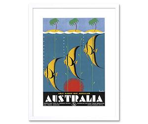 Wee Blue Coo Great Barrier Reef Queensland Australia Fish Picture Framed Wall Art Print