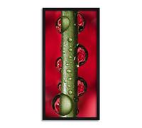 Wee Blue Coo Green Stem Dew Droplets Long Panel Framed Wall Art Print