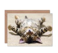 Wee Blue Coo Greeting Supine Cute Sleeping Kitten Cat Gift Sealed Greeting Card Plus Envelope Blank inside