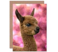 Wee Blue Coo GREETINGS CARD BIRTHDAY GIFT ANIMAL ALPACA LLAMA BABY CUTE