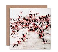 Wee Blue Coo GREETINGS CARD BIRTHDAY GIFT ANIMAL BIRDS FLAMINGOS FLIGHT