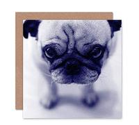 Wee Blue Coo GREETINGS CARD BIRTHDAY GIFT ANIMAL DOG PUG PUPPY CUTE