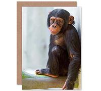 Wee Blue Coo GREETINGS CARD BIRTHDAY GIFT ANIMAL PHOTO MONKEY CUTE BABY CHIMP