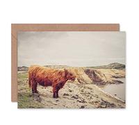 Wee Blue Coo GREETINGS CARD BIRTHDAY GIFT SCOTTISH PHOTO PAINTING HIGHLAND COW