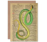 Wee Blue Coo GREETINGS CARD BIRTHDAY GIFT UPCYCLE DICTIONARY GREEN SNAKE REPTILE