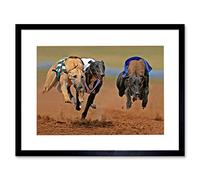 Wee Blue Coo Greyhound Sing Running Dog Track Sport Photo Framed Art Print Picture F12X375