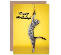Wee Blue Coo HAPPY BIRTHDAY CAT TOY PLAY PHOTOGRAPHY YELLOW BLANK GREETINGS CARD