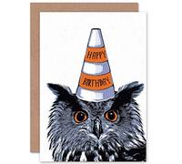 Wee Blue Coo Happy Birthday Owl Traffic Cone Hat Fun Gift Sealed Greeting Card Plus Envelope Blank inside