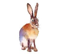 Wee Blue Coo Hare Watercolour Isolated Art Print Canvas Premium Wall Decor Poster