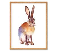 Wee Blue Coo Hare Watercolour Isolated Art Print Framed Poster Wall Decor 12X16 Inch