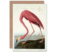 Wee Blue Coo Havell Audubon American American Flamingo Zoology Sealed Greeting Card Plus Envelope Blank inside