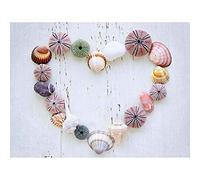 Wee Blue Coo Heart Seashells Rocks Wood Beach Love Maritime Art Print Poster Wall Decor 12X16 Inch