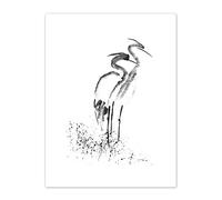 Wee Blue Coo Heron Ink Drawing Art Print Canvas Premium Wall Decor Poster