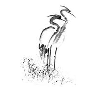 Wee Blue Coo Heron Ink Drawing Art Print Poster Wall Decor