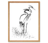 Wee Blue Coo Heron K Drawing Art Print Framed Poster Wall Decor 12X16 Inch