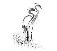 Wee Blue Coo Heron K Drawing Art Print Poster Wall Decor 12X16 Inch