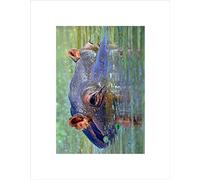 Wee Blue Coo Hippo Hippopotamus Eyes Close Up Submerged Wall Art Print