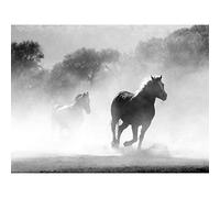 Wee Blue Coo Horses Running Mist BW Art Print Poster Wall Decor 12X16 Inch