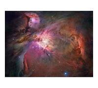 Wee Blue Coo Hubble Space Telescope View Of The Orion Nebula Art Print Poster Wall Decor 12X16 Inch