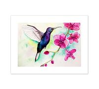 Wee Blue Coo Hummingbird And Orchid Art Print Canvas Premium Wall Decor Poster