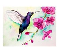 Wee Blue Coo Hummingbird And Orchid Art Print Poster Wall Decor