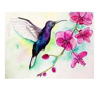Wee Blue Coo Hummingbird And Orchid Unframed Art Print Poster Wall Decor 12x16 inch