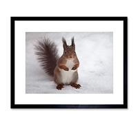 Wee Blue Coo Hungry Squirrel Red Nature Animal Snow Picture Framed Wall Art Print