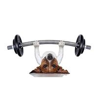 Wee Blue Coo Jack Russell Dog Personal Trainer Weight Lifter Art Print Poster Wall Decor 12X16 Inch