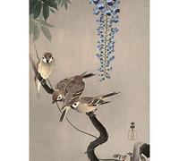 Wee Blue Coo Japan Nature Sparrow Bird Flower Shoson Ohara Large Art Print Poster Wall Decor 18x24 inch