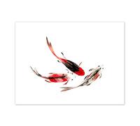Wee Blue Coo Japanese Koi Fish Black And Red Art Print Canvas Premium Wall Decor Poster