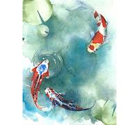 Wee Blue Coo Japanese Koi Fish With Lilies Large Wall Art Print Canvas Premium Poster