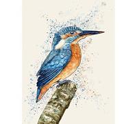 Wee Blue Coo Kingfisher Watercolour Art Print Poster Wall Decor 12X16 Inch