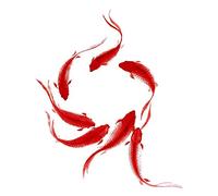 Wee Blue Coo Koi Fish Painting Art Print Poster Wall Decor 12X16 Inch