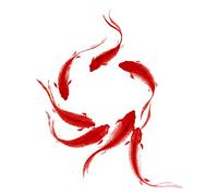 Wee Blue Coo Koi Fish Painting Art Print Poster Wall Decor