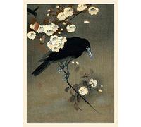 Wee Blue Coo Koson Crow & Blossom Art Print Poster Wall Decor 12X16 Inch