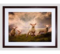 Wee Blue Coo Lambs Sheep Farm Animal Cloud Art Picture Framed Wall Art Print