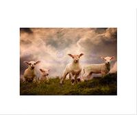Wee Blue Coo Lambs Sheep Farm Animal Cloud Art Picture Wall Art Print