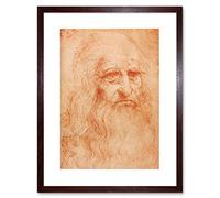 Wee Blue Coo Leonardo Da Vinci Drawings Old Master Framed Wall Art Print