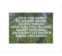 Wee Blue Coo LIFE IS TOO SHORT MOTIVATION TYPOGRAPHY QUOTE BLACK FRAMED ART PRINT B12X13934