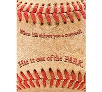 Wee Blue Coo Life Throws Curveball Hit Park Baseball Sport Quote Typography Large Art Print Poster Wall Decor 18x24 inch