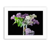 Wee Blue Coo Lilac Flowers Blooms Spring Photo Picture Canvas Art Print