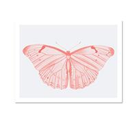 Wee Blue Coo Living Coral Butterfly Large White Framed Art Print Wall Poster 18x24 inch