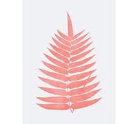 Wee Blue Coo Living Coral Fern Large Wall Art Print Canvas Premium Poster