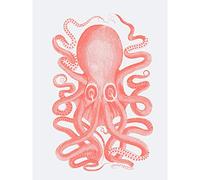Wee Blue Coo Living Coral Octopus Large Wall Art Print Canvas Premium Poster