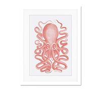 Wee Blue Coo Living Coral Octopus Large White Framed Art Print Wall Poster 18x24 inch