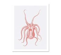 Wee Blue Coo Living Coral Octopus Upside Down Large White Framed Art Print Wall Poster 18x24 inch